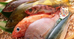 Imported food raises safety questions