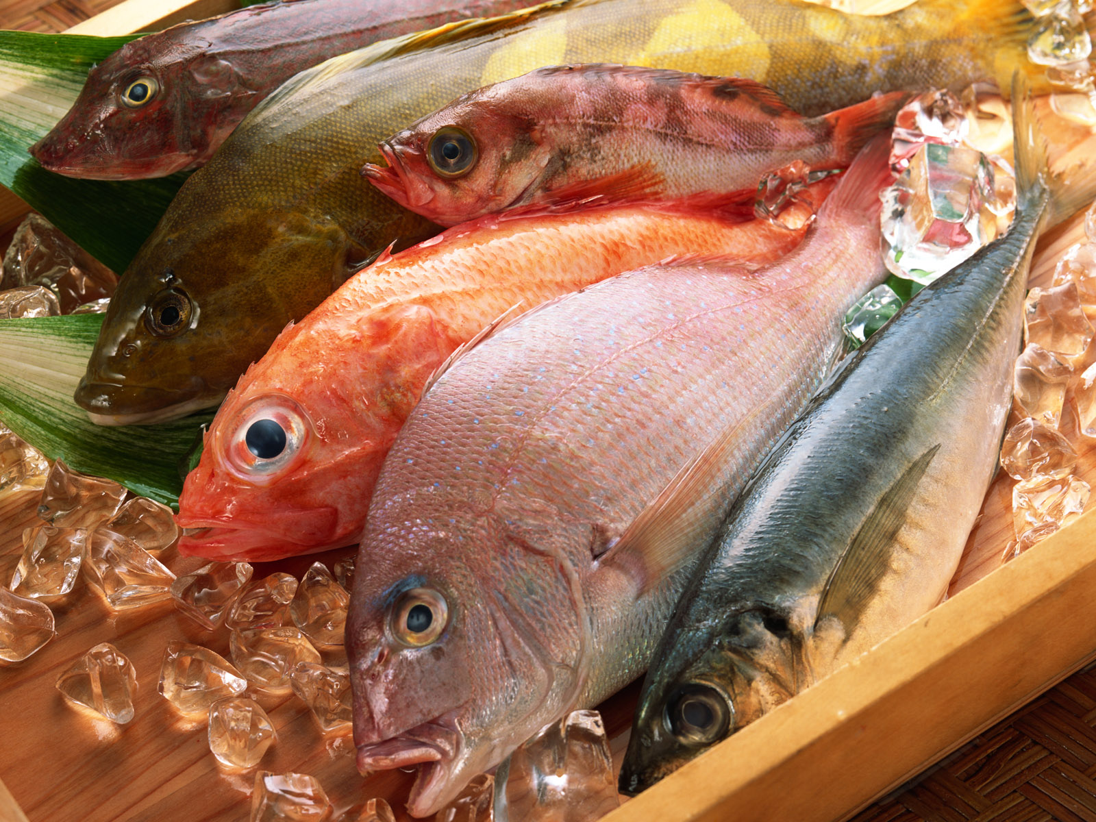 Imported food raises safety questions