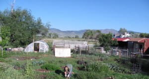 Local farm loses the battle against local government