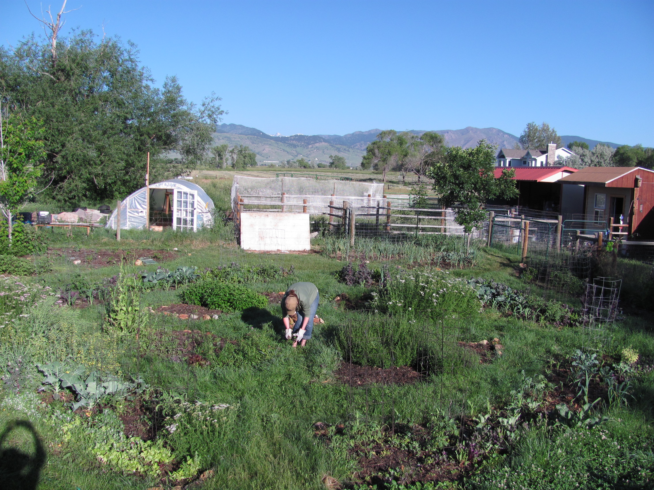 Local farm loses the battle against local government