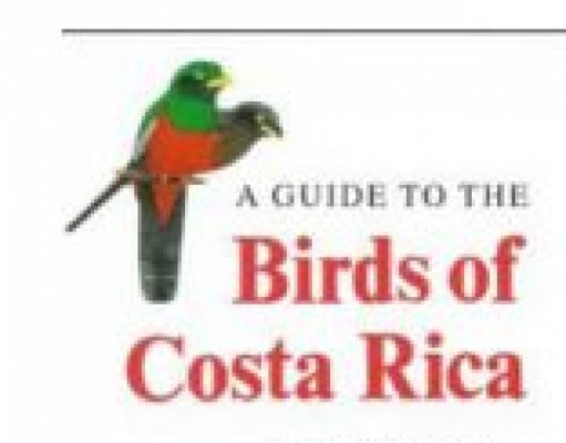 Tropical birds of Boulder