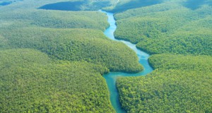 Amazonian Tribes Try Harvesting Rainwater After Oil Drilling Polluted Their Water