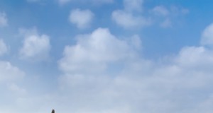 Groundwater Depletion Accelerates Sea-Level Rise