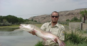 Boulder becomes a clean air city