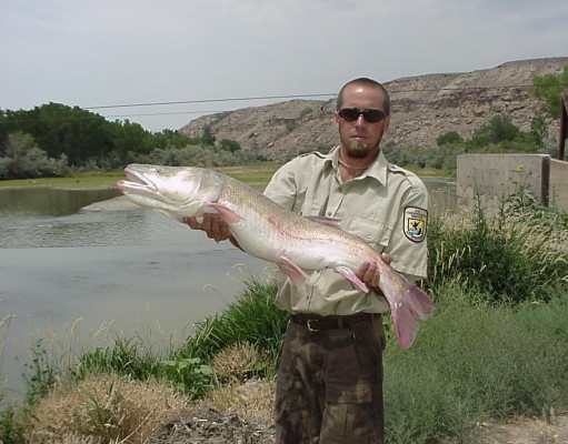 Boulder becomes a clean air city