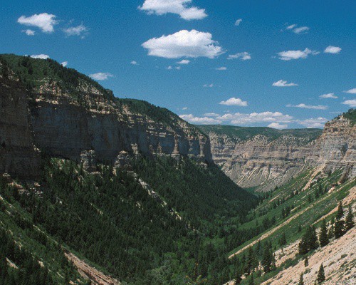 Federal Judge Stops Half-Baked BLM Plan to Frack Colorado’s Roan Plateau