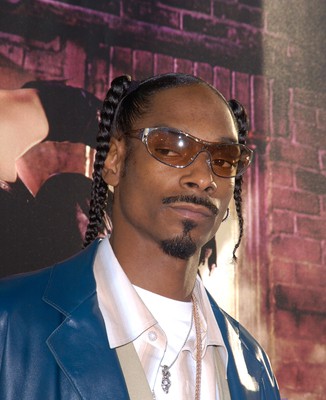 Snoop Dogg Busted in Norway With Marijuana, Money