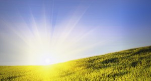 How Big Ag Erodes the Farm Bill’s Environmental Protections