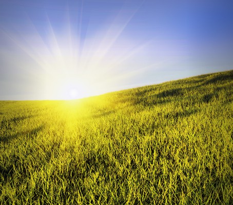 How Big Ag Erodes the Farm Bill’s Environmental Protections