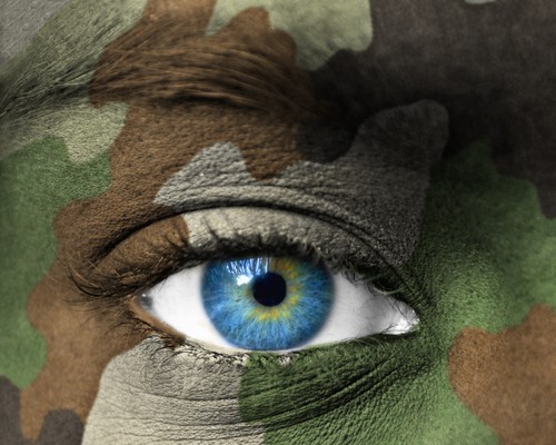 Rapists in the ranks