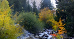 Colorado Wildfires Threaten Water Supplies