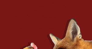 Foxes in the henhouse
