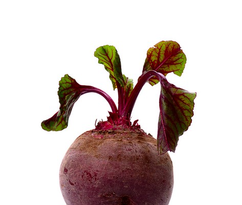 GMO sugar beets get the green light