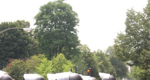 Police Clash With Protesters in Anaheim