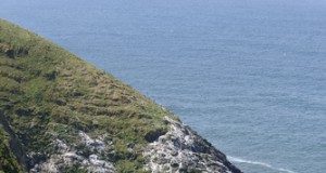 Caffeinated Seas Found off U.S. Pacific Northwest