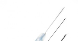 Ebola in Uganda: Why Can’t We Cure It? Where Does It Hide?