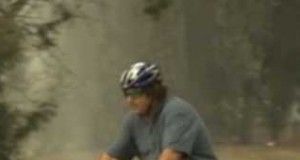 A bicycle built of cardboard