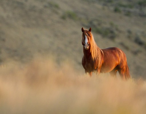 Arts | Week of August 16, 2012