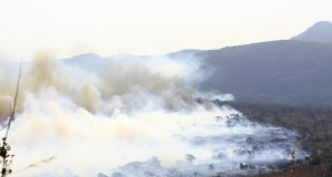 Climate change driving massive wildfires in Southwest