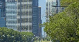 World cities seek solutions for ‘heat island’ effect