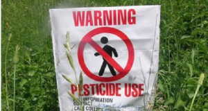 Media coverage misleading on Stanford’s organic vs. conventional food study