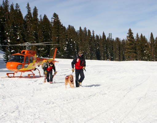 Ransomed for charity