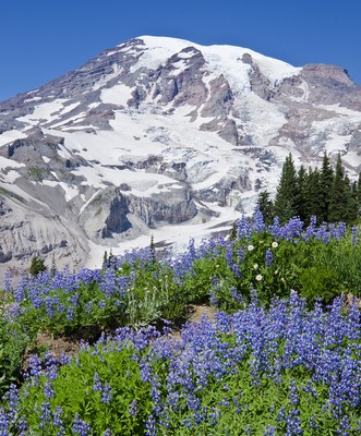 Two bodies found on Washington’s Mount Rainier