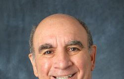 In case you missed it | As the Ward turns