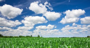 Occupy Monsanto protests shut down Monsanto distribution center