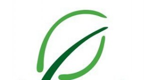 House votes for increased oversight in energy loans