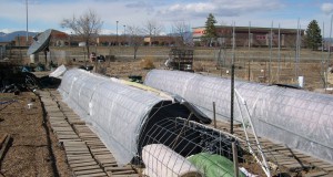 Extend the growing season