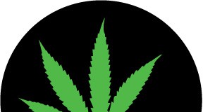 In case you missed it | Smoke him if you got him