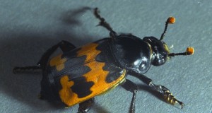 Event Calendar | Week of October 04, 2012