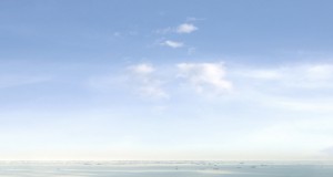 Scientist cleared in reports of polar bear drowning