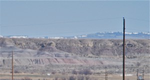 Bureau of Land Management abdicates obligation to manage our wild equines humanely