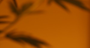 Colorado’s Amendment 64: How the amendment affects the state’s budget