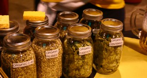 Video: Great American Beer Fest 2012