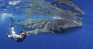 Event Calendar | Week of October 18, 2012