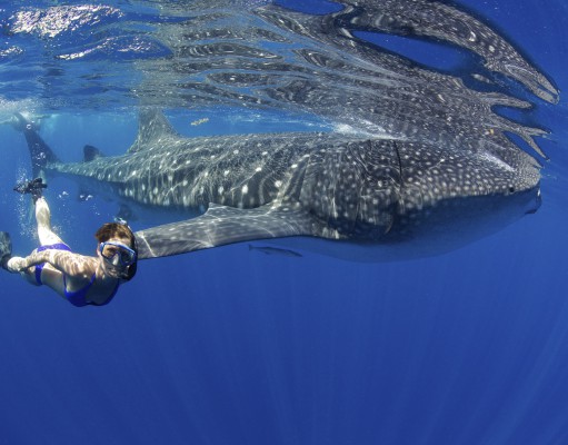 Event Calendar | Week of October 18, 2012