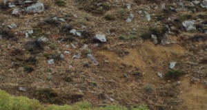 Jessica Ridgeway: Sketches of a killer