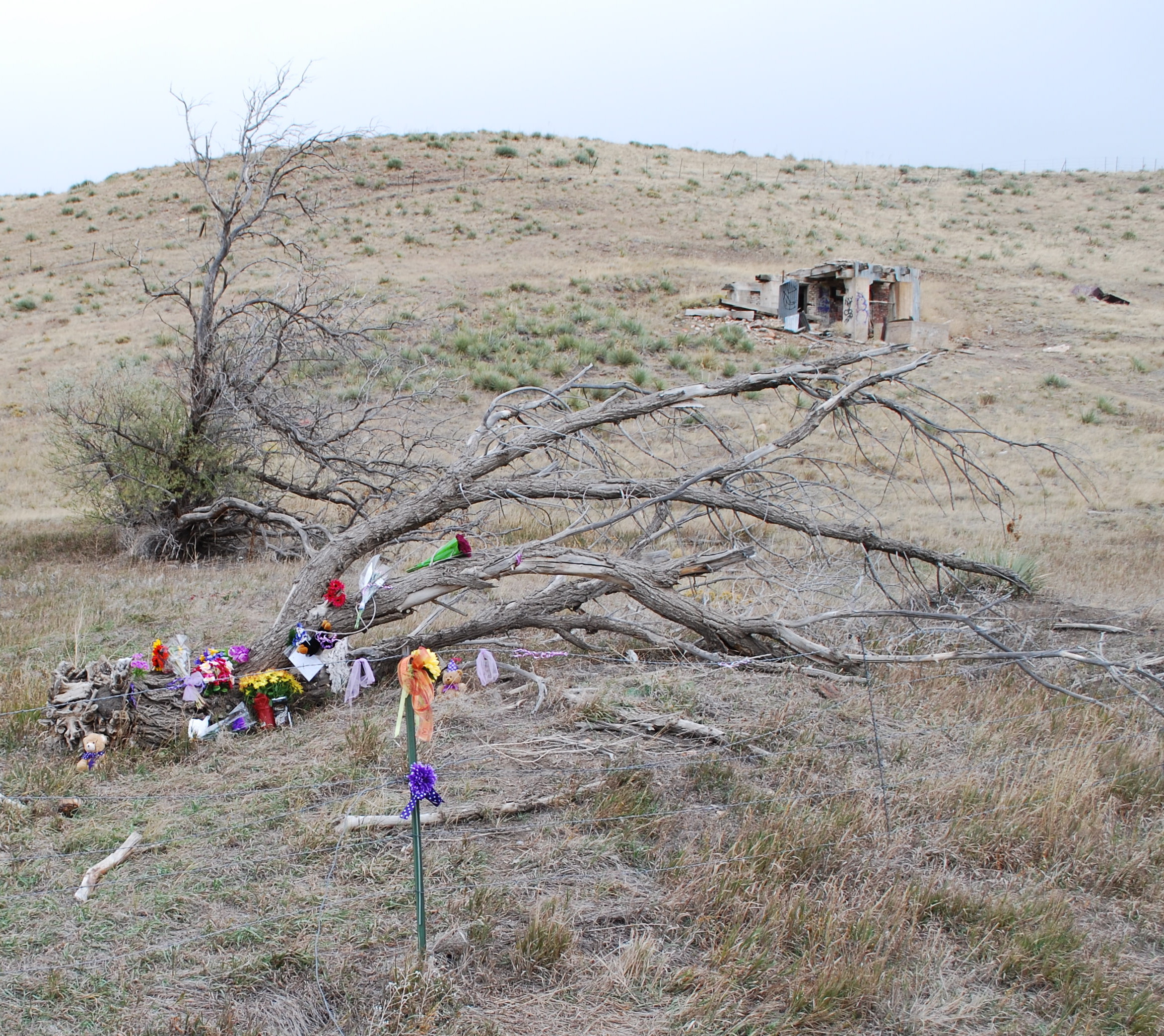 Jessica Ridgeway: Killer&rsquo;s &lsquo;awareness space&rsquo; may lead to clues
