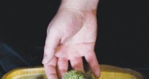 The Denver Post supports marijuana legalization — before opposing it