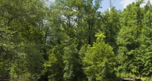 Across eastern US, dams ‘hold toxic legacy’