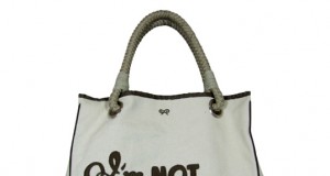 Eco-briefs | Bag fees not just for airlines anymore