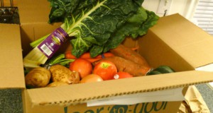 Colorado speaks up in GMO debate