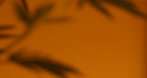 The City of Boulder’s pot power grab