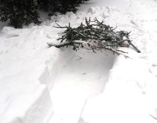 Dig your way to warmth