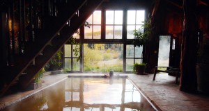 Soaking in warmth in winter