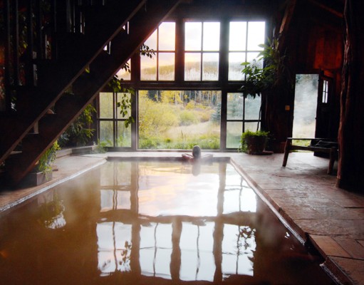 Soaking in warmth in winter