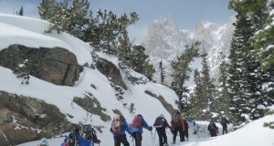 Have a quieter white winter